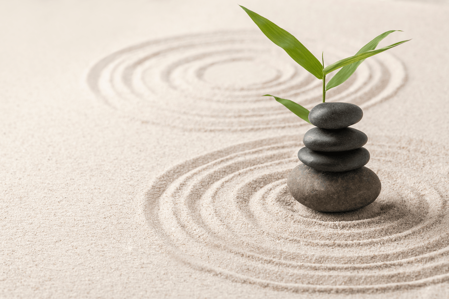 Wellness at Grand Richmond